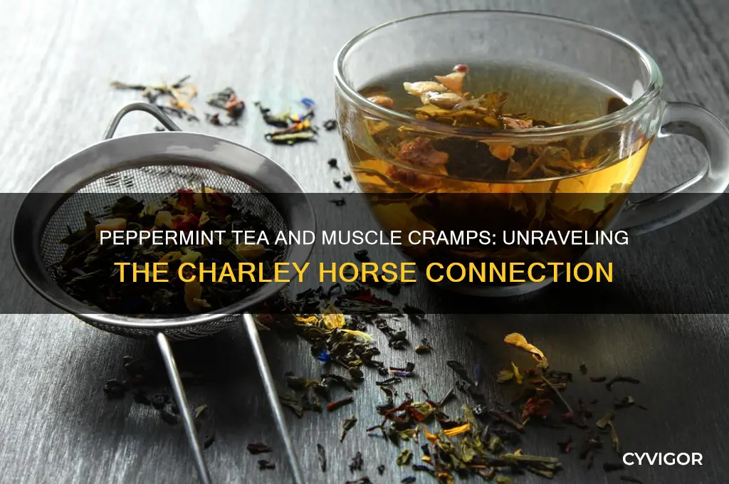 can peppermint tea cause charley horse or muscle cramps