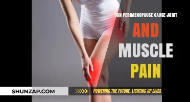 Perimenopause and Joint Pain: Understanding the Hormonal Connection