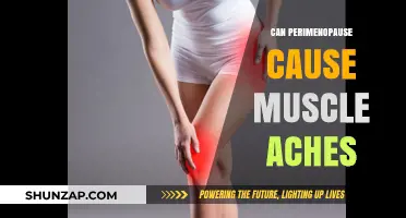 Perimenopause and Muscle Pain: Understanding the Hormonal Connection