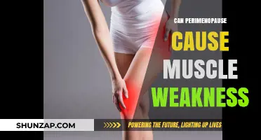 Perimenopause and Muscle Weakness: Understanding Hormonal Impact on Strength
