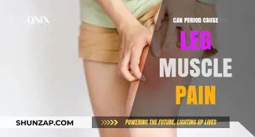 Can Menstruation Trigger Leg Muscle Pain? Understanding the Connection