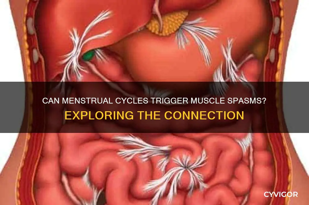 can period cause muscle spasms