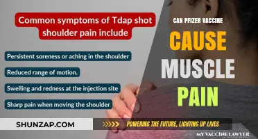 Pfizer Vaccine Side Effects: Understanding Muscle Pain and Discomfort