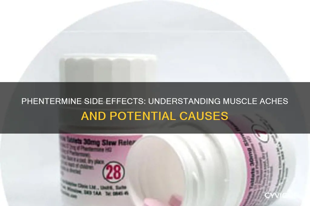 can phentermine cause muscle aches