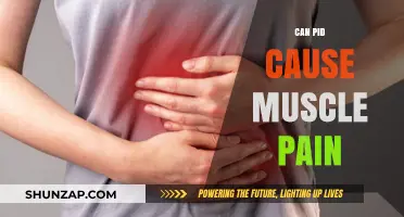 Can PID Cause Muscle Pain? Understanding the Link and Symptoms