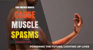 Pinched Nerves and Muscle Spasms: Understanding the Connection and Relief