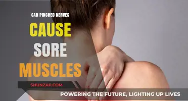 Pinched Nerves and Muscle Pain: Understanding the Surprising Connection