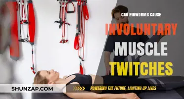 Pinworms and Muscle Twitches: Unraveling the Connection and Symptoms