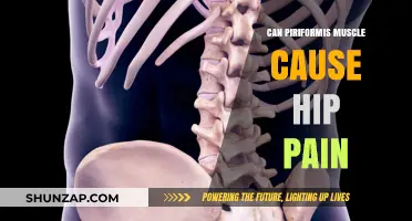 Piriformis Muscle and Hip Pain: Understanding the Connection and Relief