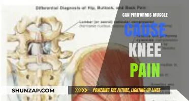 Piriformis Muscle and Knee Pain: Unraveling the Surprising Connection