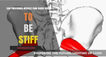 Piriformis Muscle Pain: Unraveling Its Link to Back Stiffness