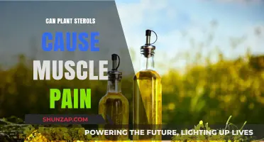 Plant Sterols and Muscle Pain: Unraveling the Potential Connection