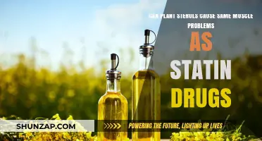 Plant Sterols vs. Statins: Do They Cause Similar Muscle Issues?