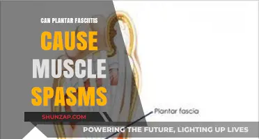 Can Plantar Fasciitis Trigger Muscle Spasms? Exploring the Connection