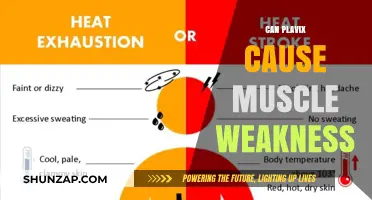 Can Plavix Cause Muscle Weakness? Exploring Side Effects and Risks