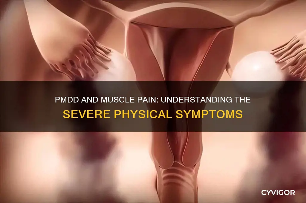 can pmdd cause severe muscle pain