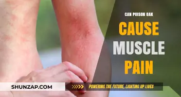 Can Poison Oak Trigger Muscle Pain? Understanding Symptoms and Relief