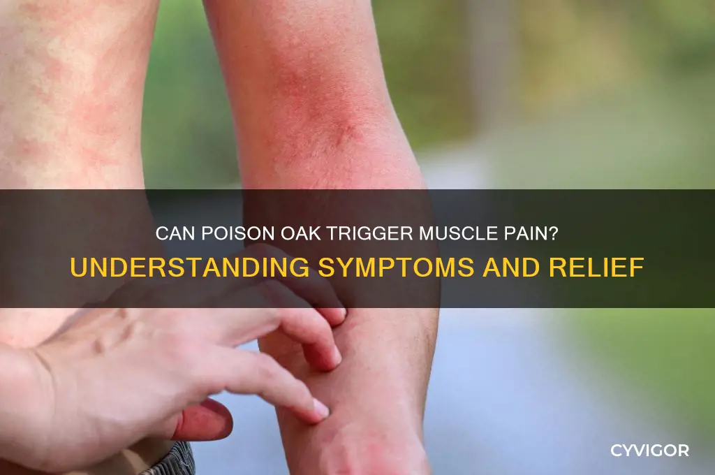 can poison oak cause muscle pain