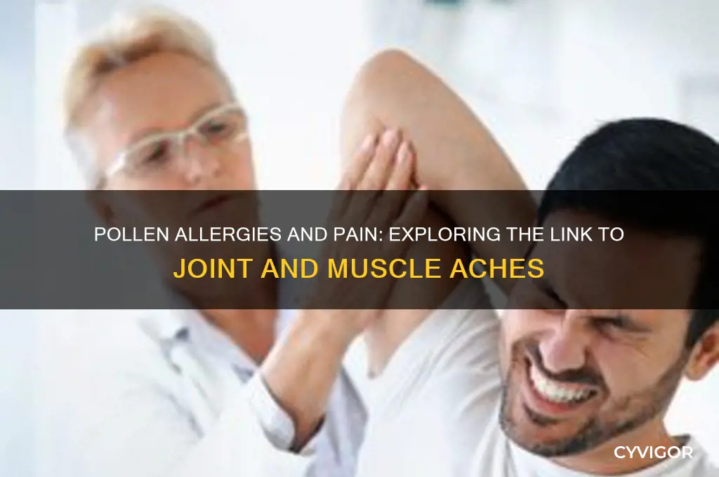 can pollen allergies cause joint or muscle aches