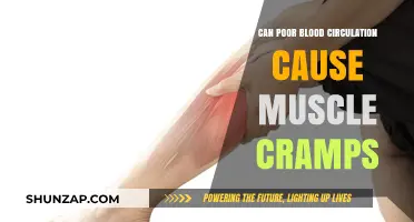 Poor Blood Circulation and Muscle Cramps: Understanding the Connection
