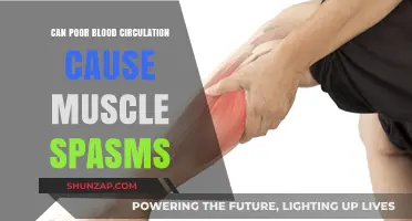 Poor Blood Circulation and Muscle Spasms: Understanding the Connection