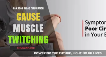 Poor Blood Circulation and Muscle Twitching: Unraveling the Connection