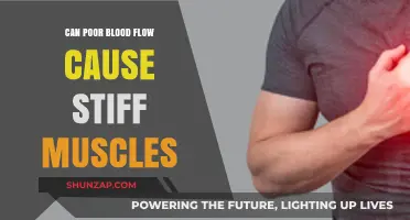 Poor Blood Flow and Muscle Stiffness: Uncovering the Connection