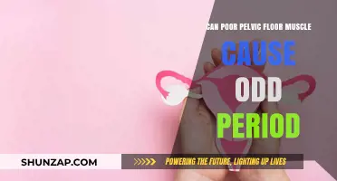 Pelvic Floor Weakness: A Surprising Link to Irregular Periods?