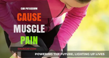 Can Potassium Deficiency or Excess Lead to Muscle Pain?