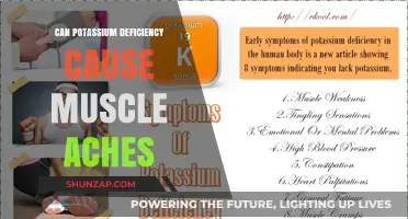 Potassium Deficiency and Muscle Aches: Uncovering the Hidden Connection