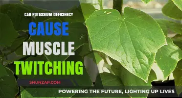 Potassium Deficiency and Muscle Twitching: Understanding the Connection