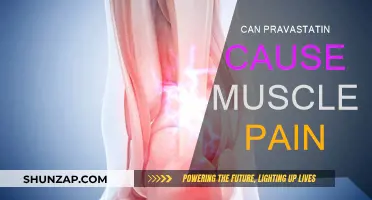 Pravastatin: Understanding Muscle Pain as a Possible Side Effect