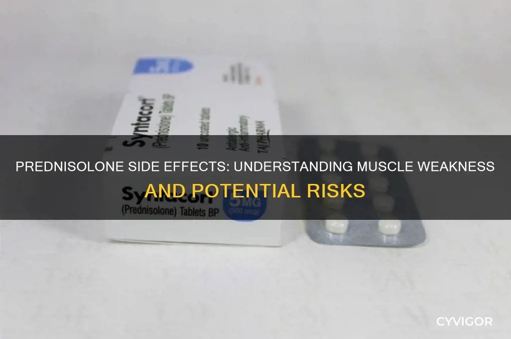 can prednisolone cause muscle weakness
