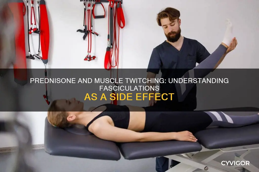 can prednisone cause muscle fasciculations