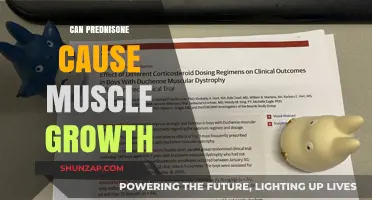 Prednisone and Muscle Growth: Unraveling the Surprising Connection