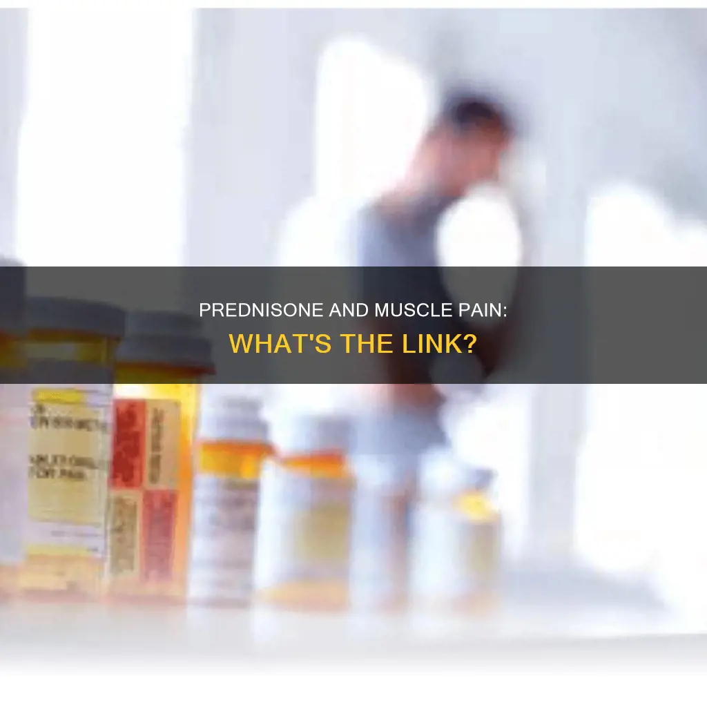 can prednisone cause muscle pain