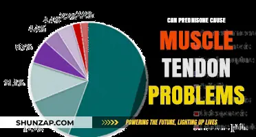 Prednisone Side Effects: Understanding Muscle and Tendon Risks