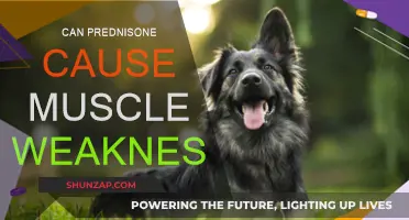 Prednisone's Link to Muscle Weakness and Fatigue