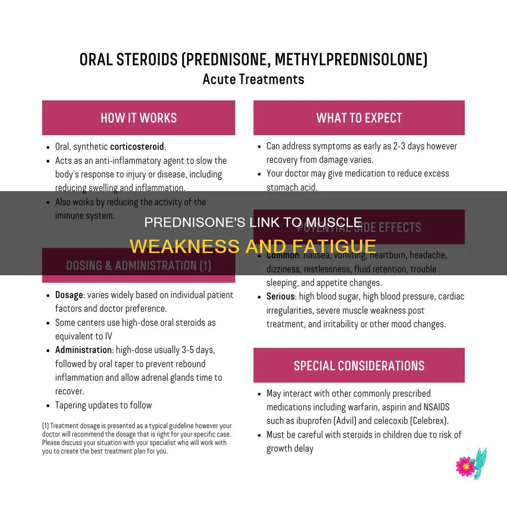 can prednisone cause muscle weakness
