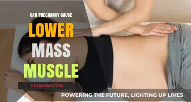 Pregnancy and Muscle Mass: Understanding Changes in Your Body