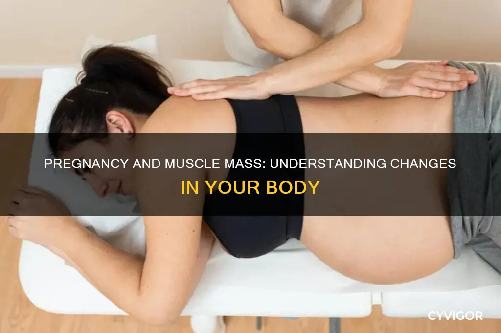 can pregnancy cause lower mass muscle