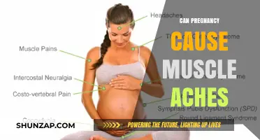 Pregnancy and Muscle Aches: Understanding the Causes and Relief