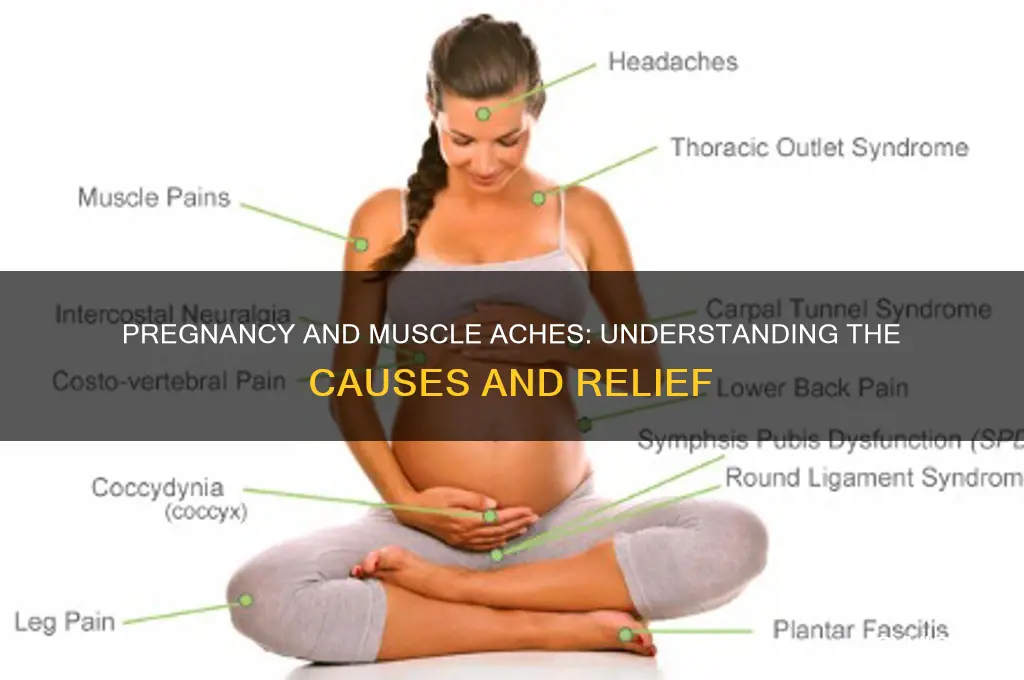 can pregnancy cause muscle aches