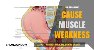 Pregnancy and Muscle Weakness: Understanding Physical Changes During Pregnancy