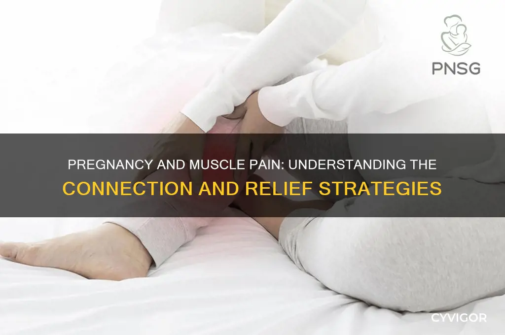 can pregnancy cause sore muscles