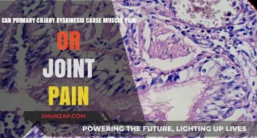 Primary Ciliary Dyskinesia: Exploring Its Link to Muscle and Joint Pain