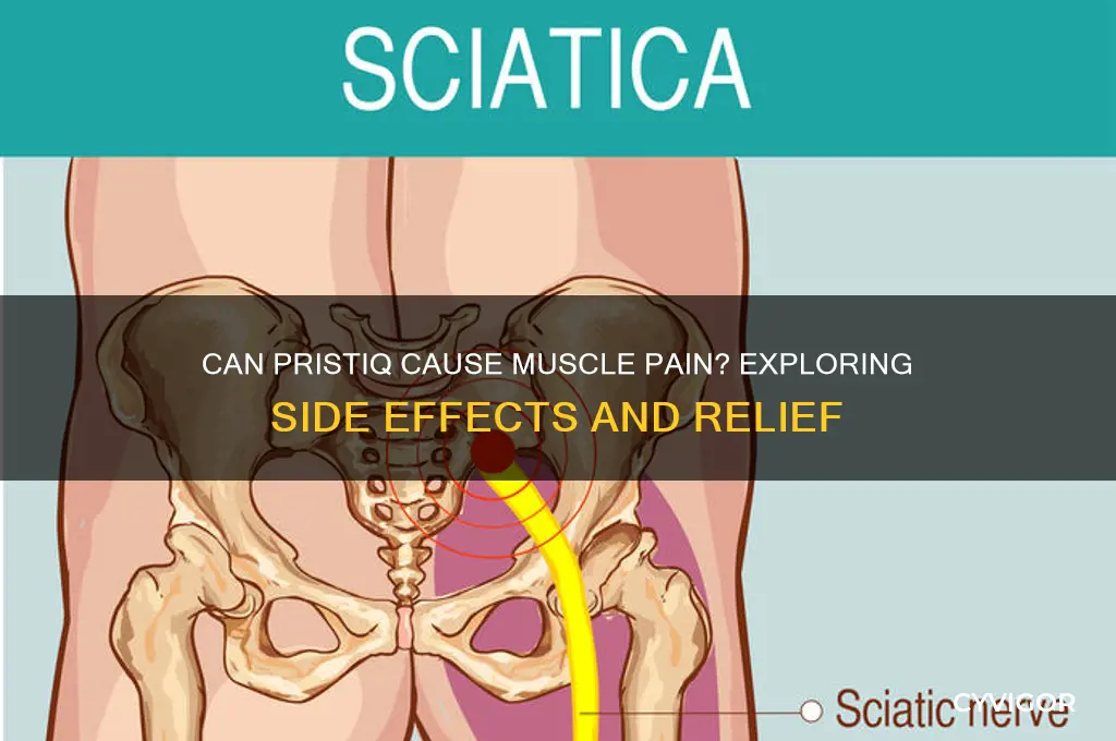 can pristiq cause muscle pain