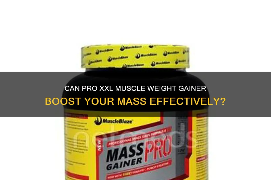 can pro xxl muscle weight gainer