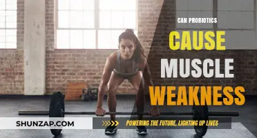 Probiotics and Muscle Weakness: Unraveling the Surprising Connection