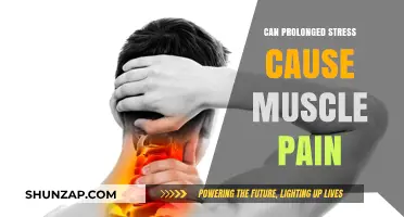 Prolonged Stress and Muscle Pain: Unraveling the Mind-Body Connection